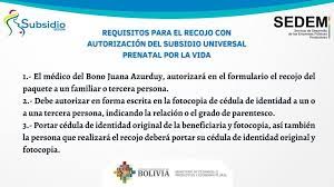 Requisitos Para El Subsidio Prenatal Bolivia
