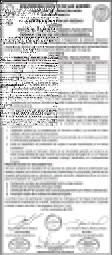 Requisitos para Docente Universitario Bolivia