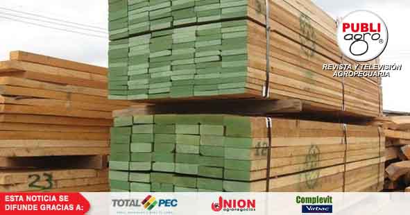 ¿Qué certificado de calidad se necesita para la exportación de madera?