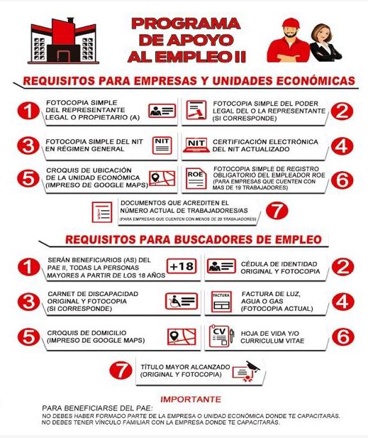 Requisitos para un Empleo en una Empresa Bolivia
